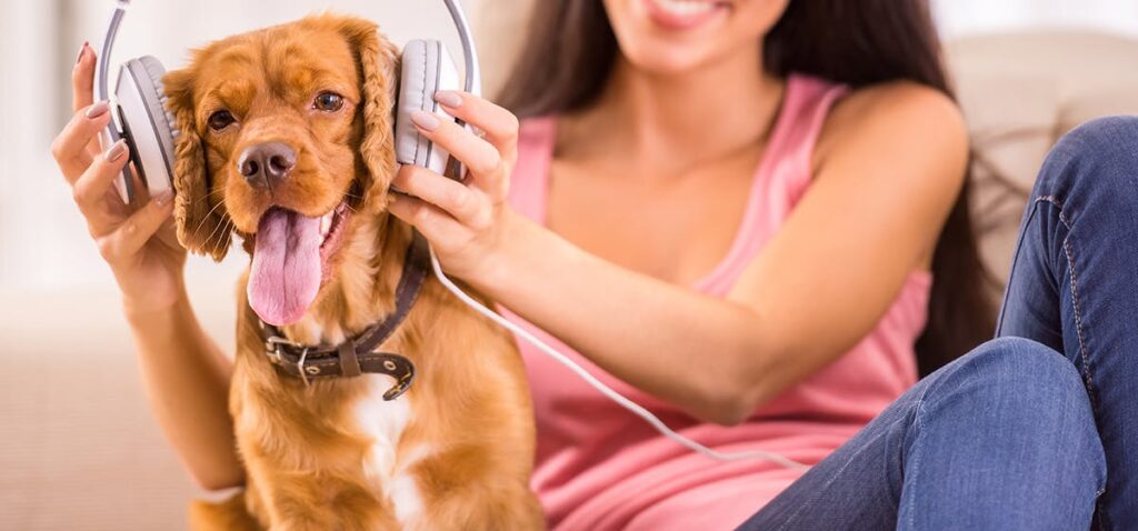 What names do dogs hear best