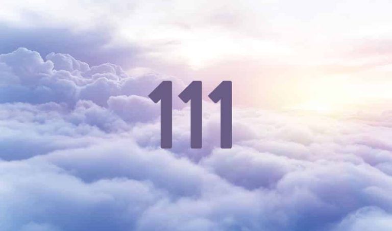 Que signifie vraiment le nombre 111