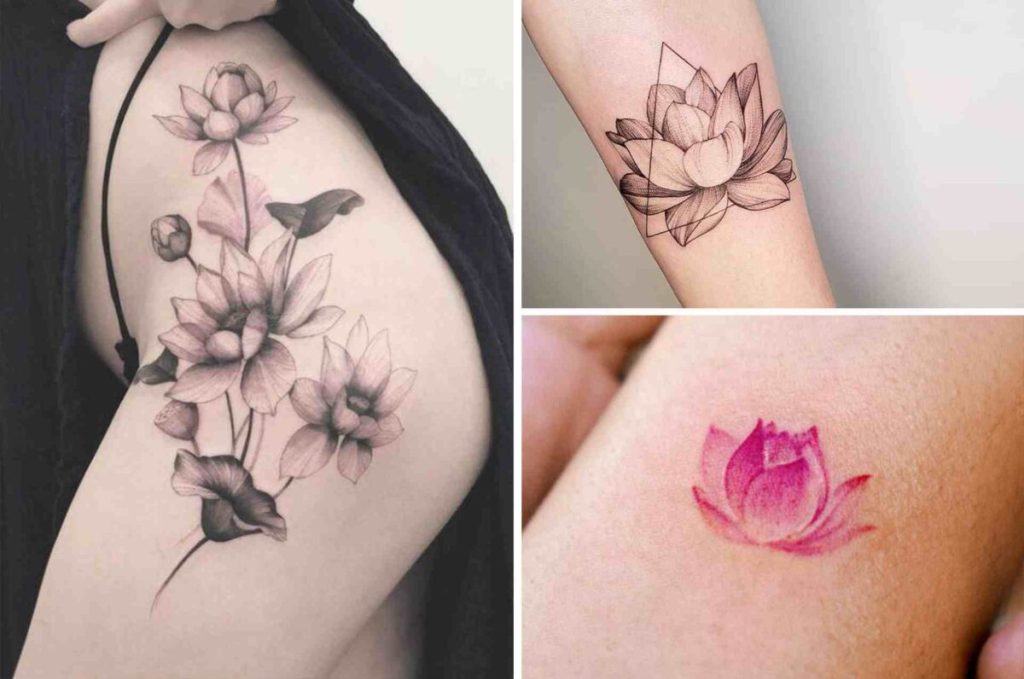 Que symbolise la fleur de lotus dans les différentes cultures