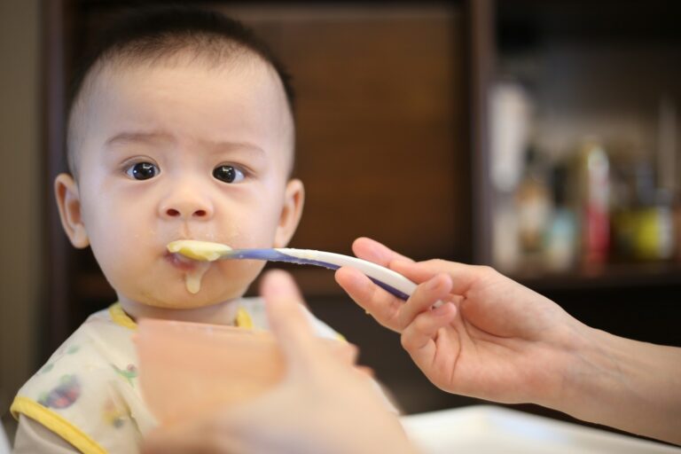 alimentation bébé