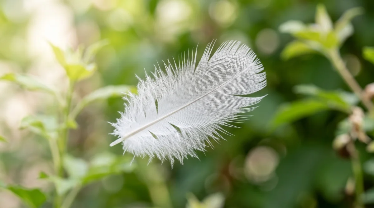 Plume élégante aux nuances grises et blanches flottant délicatement dans un jardin verdoyant, symbolisant la paix et la spiritualité.