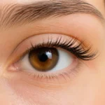 Gros plan d’un œil humain montrant des cils naturels, des extensions et des cils en phase de repousse saine